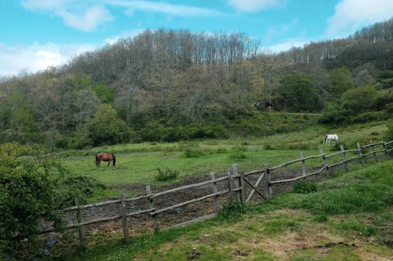 Casina Della Burraia Villa Subbiano Farm stay